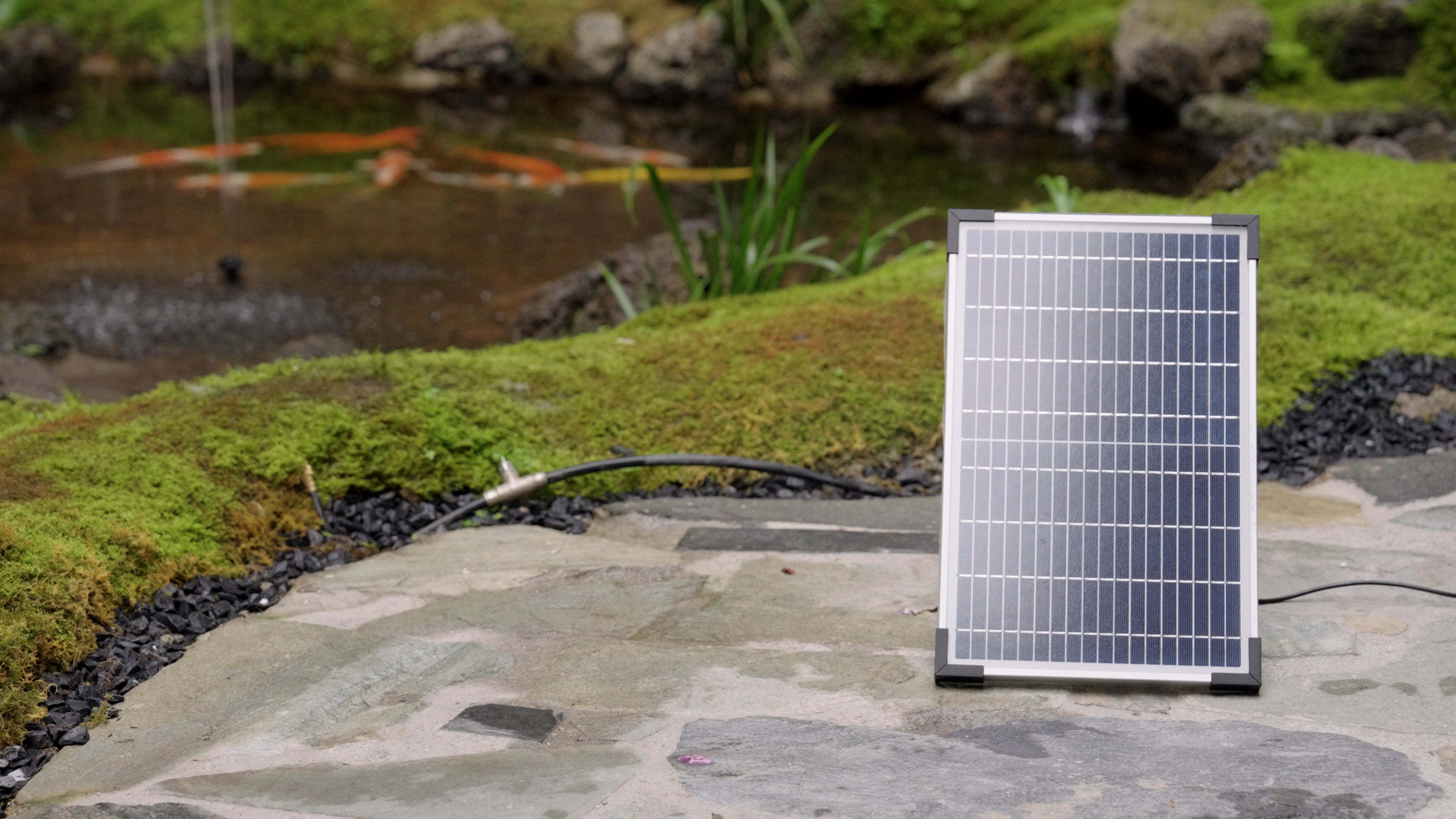 Solar Water Transfer Pump: An Innovative Solution for Sustainable Water Resources Management
