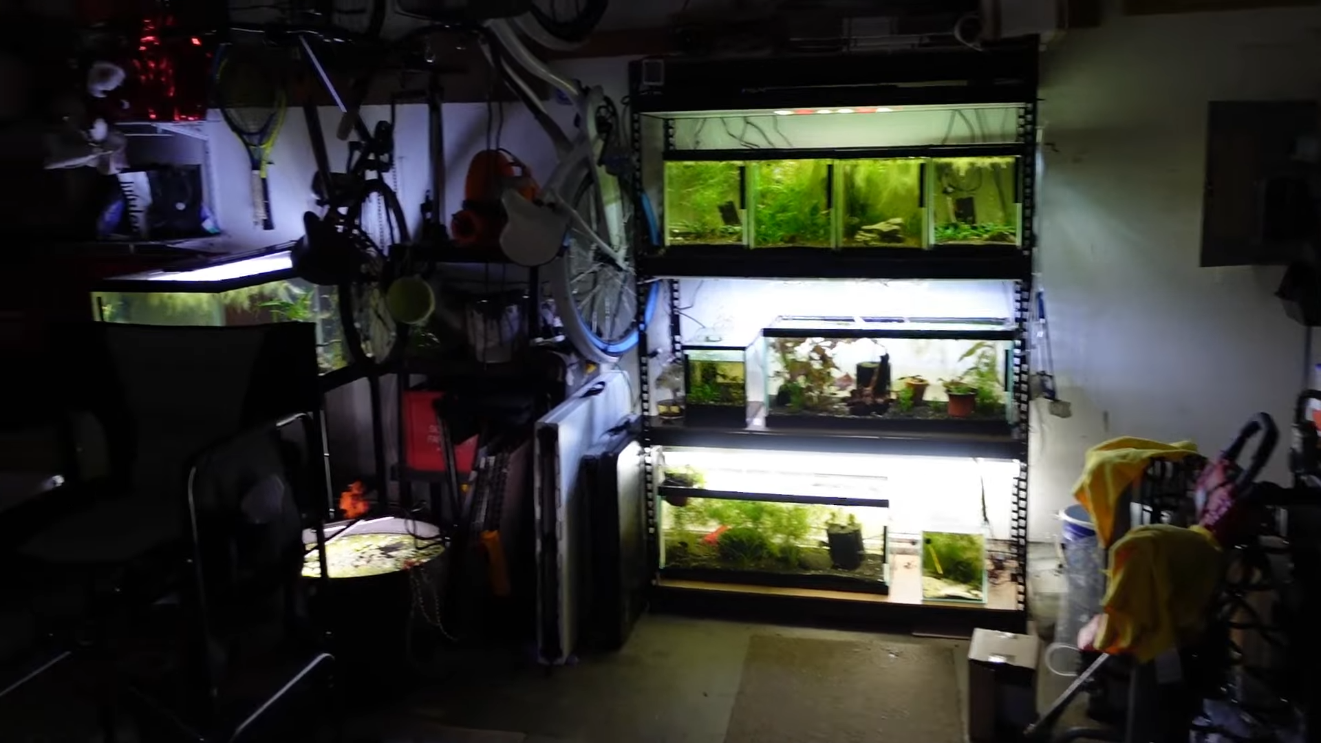 Exploring the Fish Room and Analyzing Poposoap Pond Filter