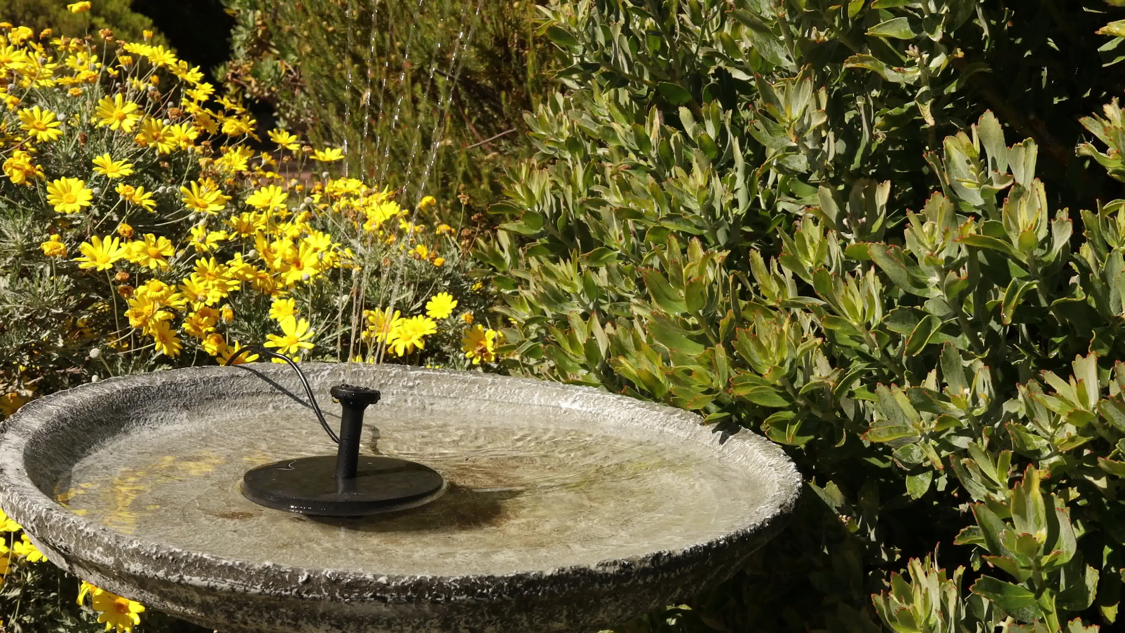 Why Do Birds Need a Poposoap Solar Powered Bird Fountain?