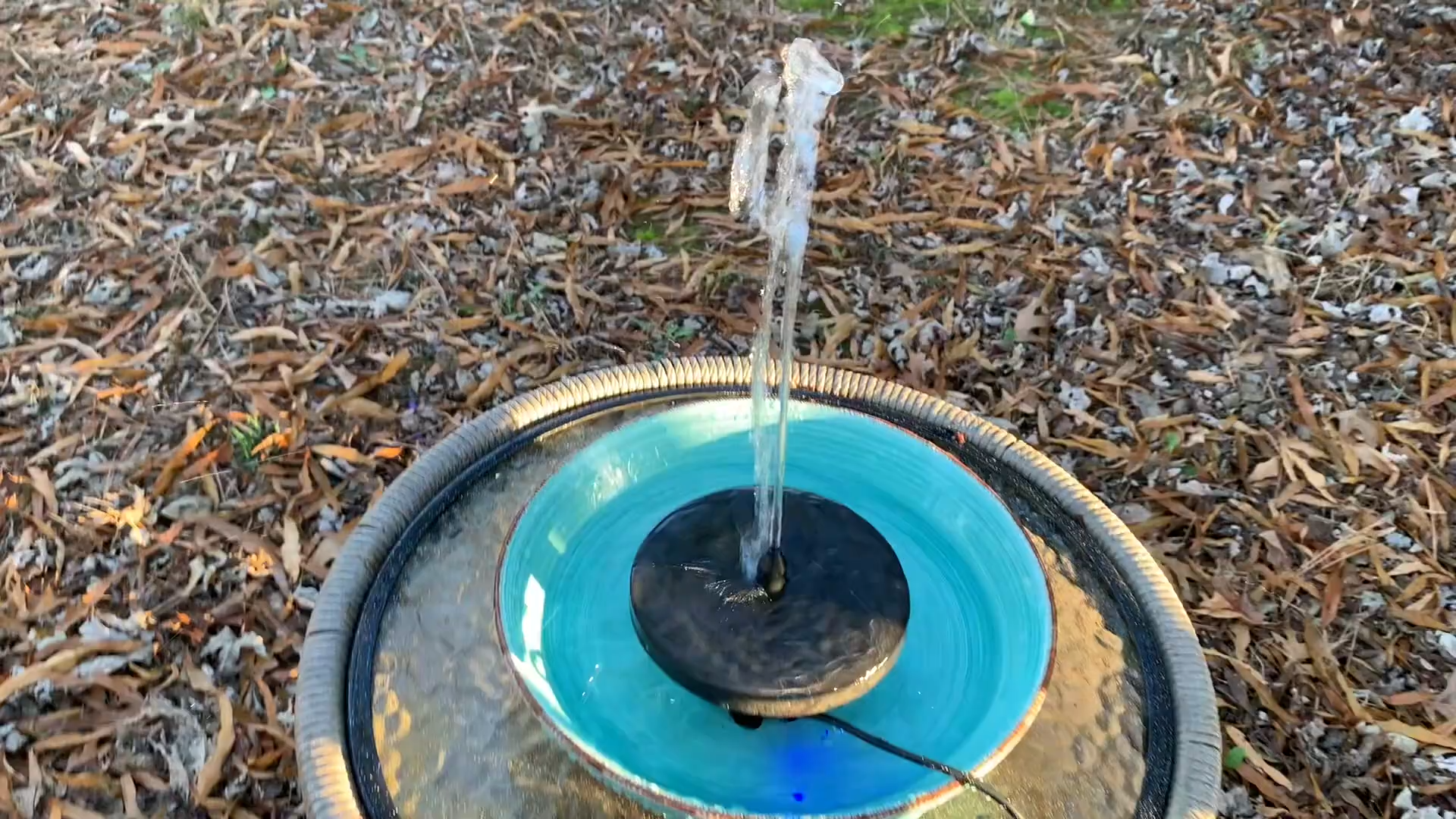 A Cool Station for Birds: Poposoap Solar Bird Bath Water Pump Experience