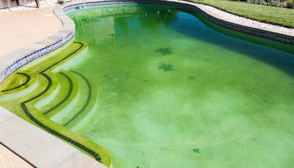 Signs, Causes, and Improvement Methods of Deteriorating Pool Water