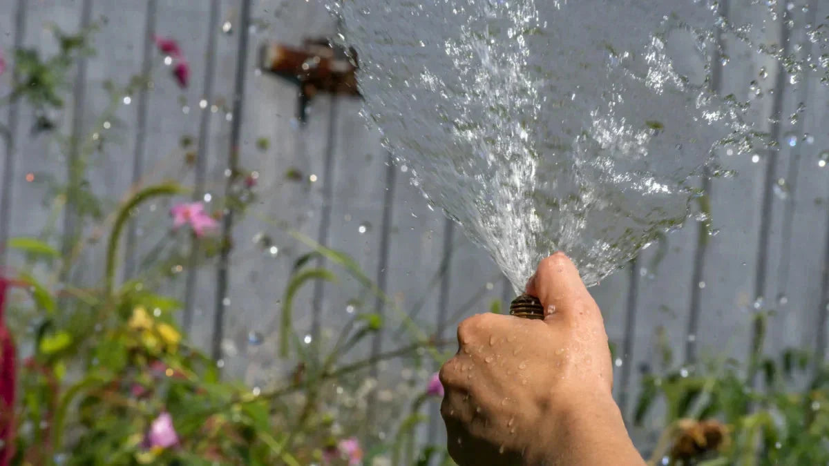 Teichwasser zur Bewaesserung verwenden