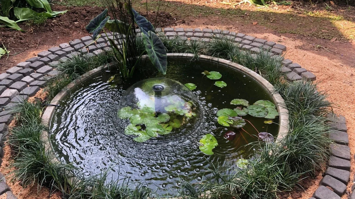 Titelbild Kleine klare Kreise im Teichwasser