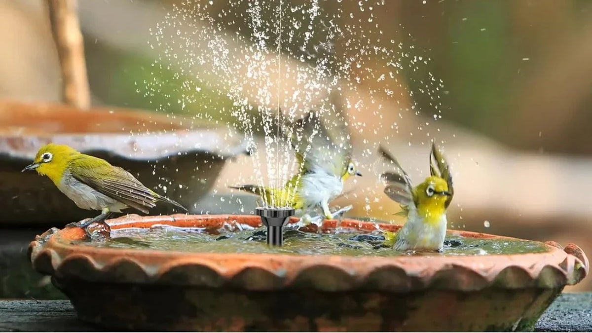 Titelbild Solar Springbrunnen Birdbaths 1