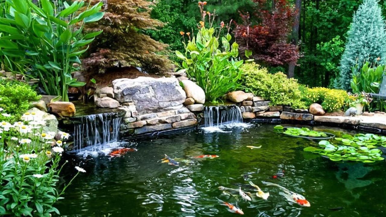 Build a Simple Koi Pond with a Waterfall – Your Backyard Oasis