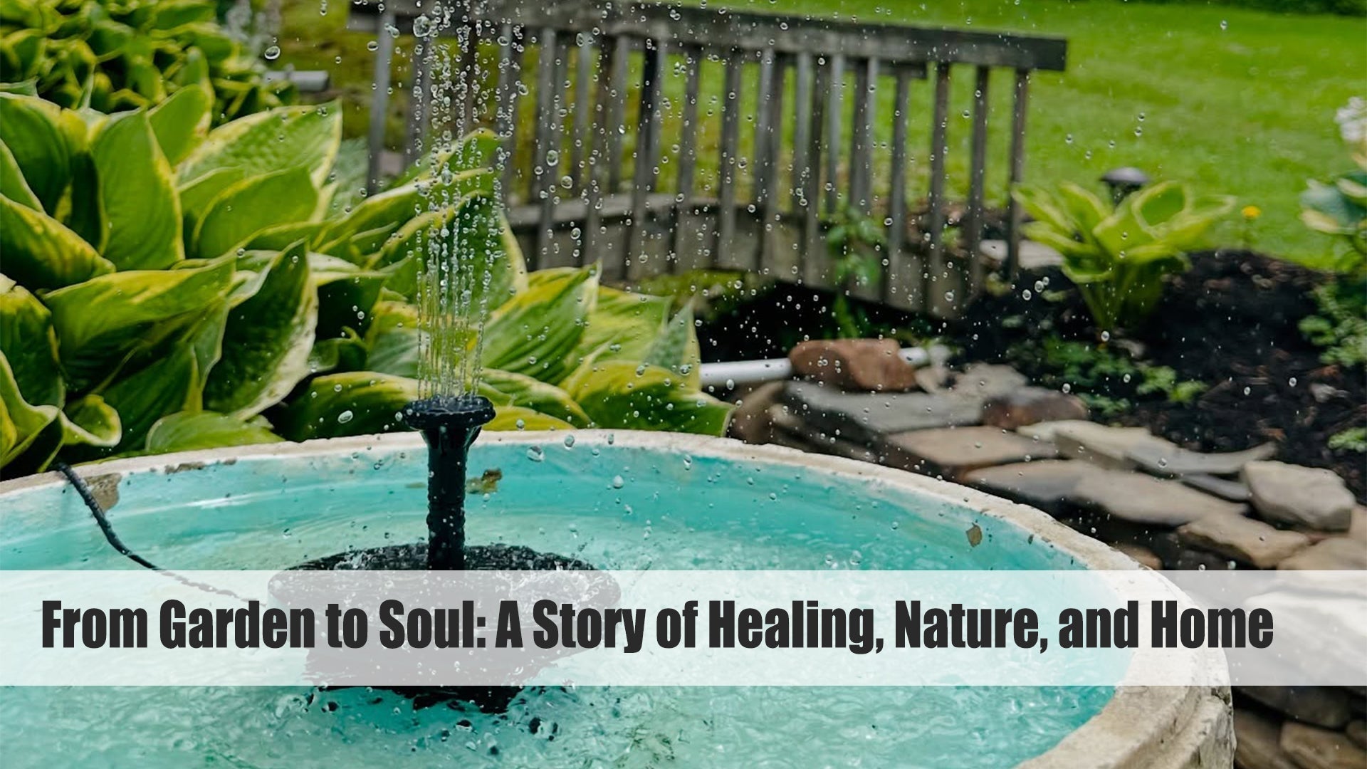 a journey of healing and nature with poposoap