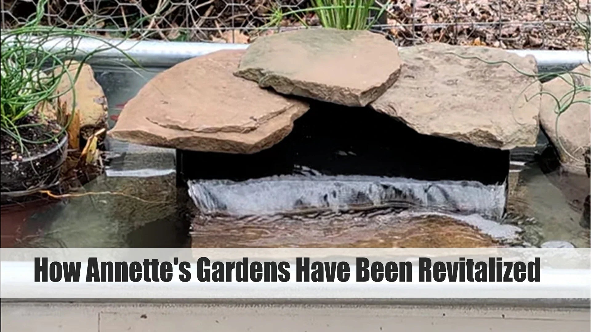 how annette gardens have been revitalized
