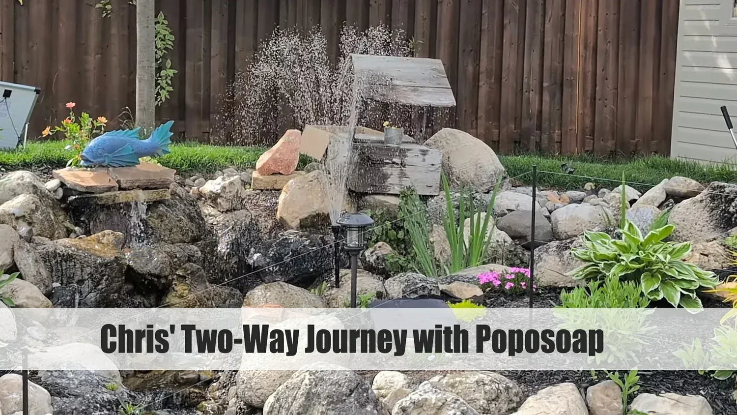 veteran fish farmers two-way journey with poposoap