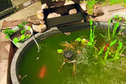 Light-blocking aquatic plants such as water plants, duckweed and water lilies can be added.