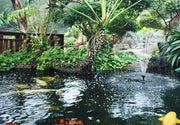 Fountain Projects