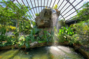 Waterfall Pond