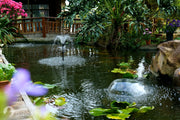 Decorative Pond
