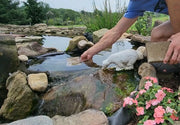 Building a Pond
