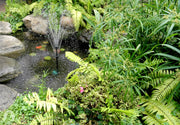 Planning a Pond