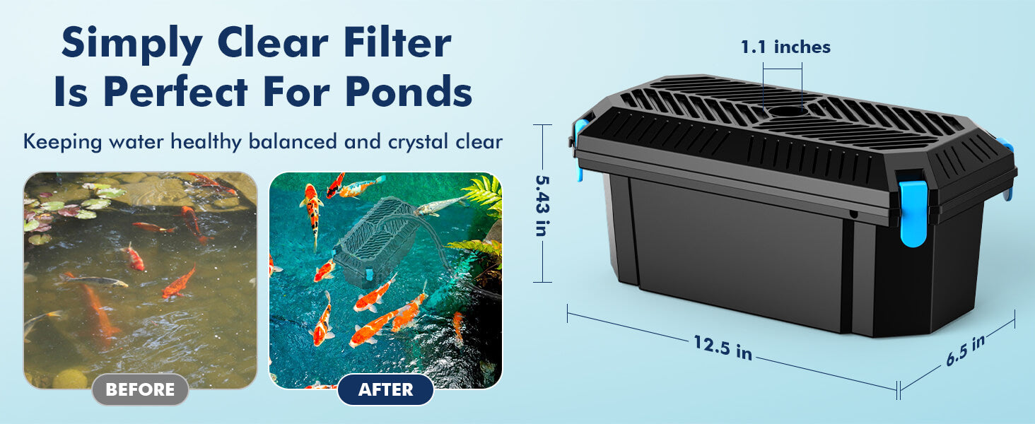 Crystal-Clear Water Starts with Proper Filtration