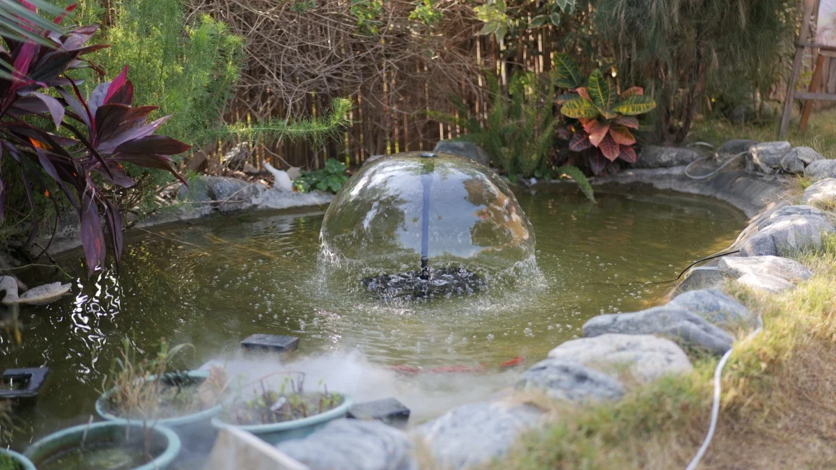 A_garden_pond_lives_inside_a_mini_water_cycle