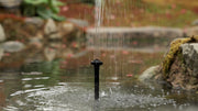 Clean, Healthy Water