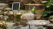 Enjoy Crystal Clear Water and Stunning Fountains