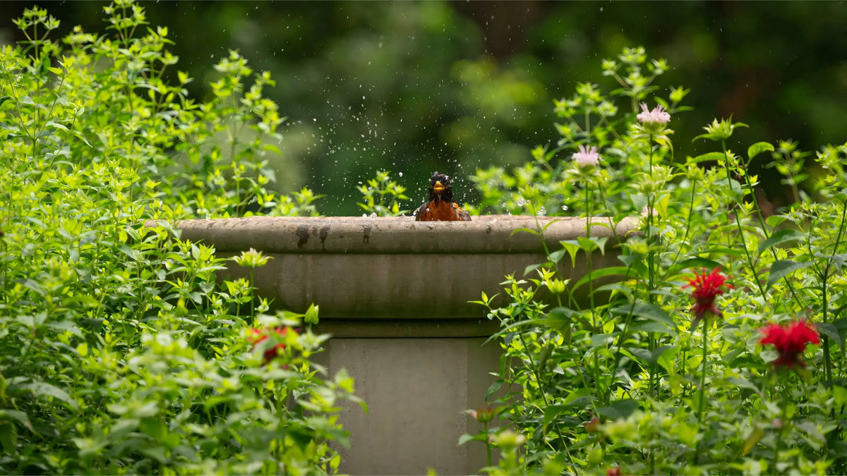 Create Your Bird Bath Fountain