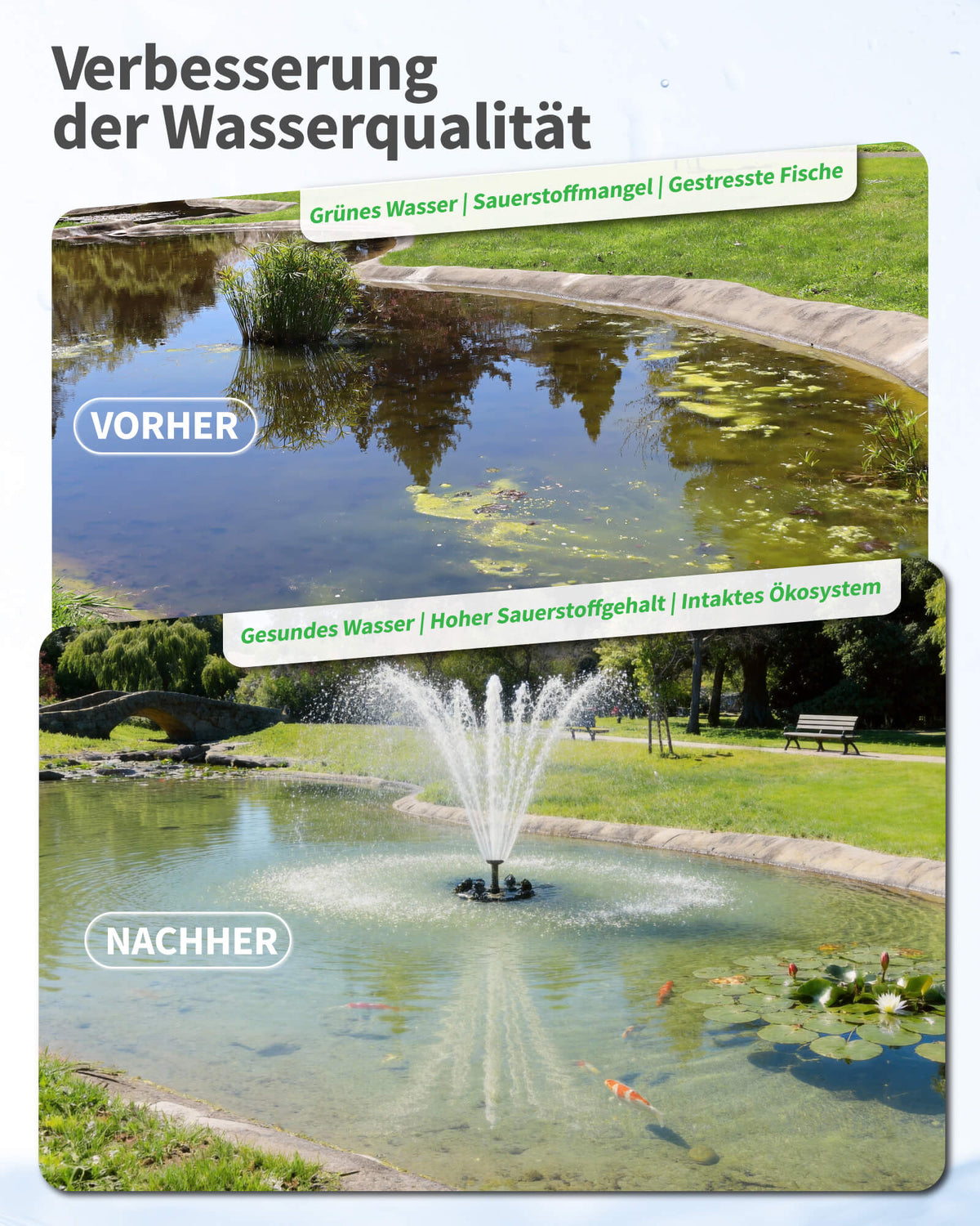 6000 l/h Schwimmende Teichfontäne & Belüftung Komplett-Set