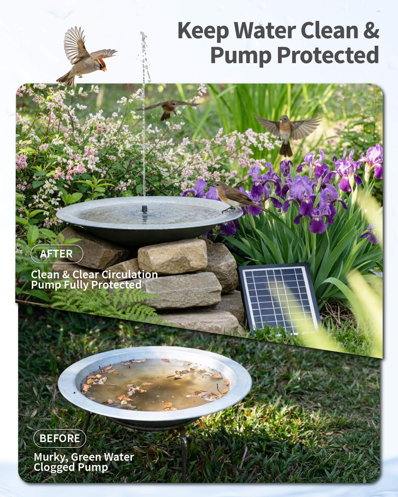 P3065D 6.5W 60GPH Solar Pond Filter Fountain with Battery