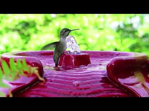 320 gph fountain pump,solar submersible fountain pump,solar power fountain pumps,solar fountain water pump