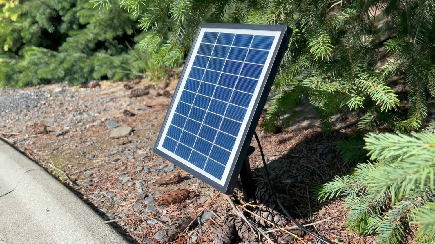 Transform an Existing Pond with Solar Power