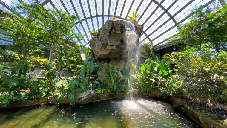 Schritt-für-Schritt-Anleitung für Gartenteiche: So bauen Sie einen Gartenteich mit Poposoap