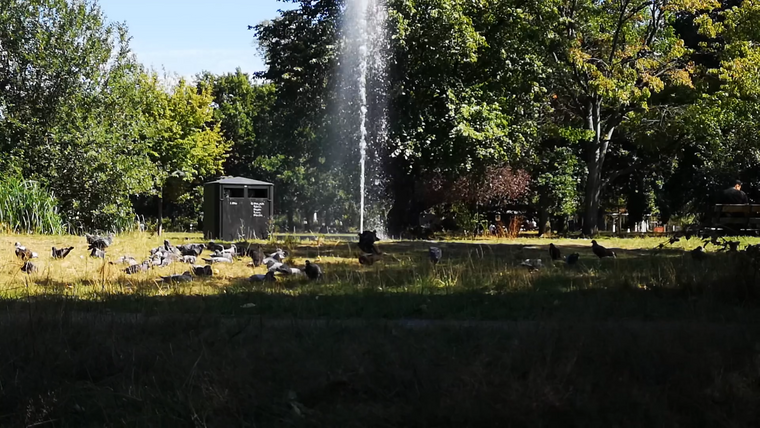 So gestalten Sie das perfekte Wasserspiel mit der solarelektrischen Wasserpumpe von Poposoap