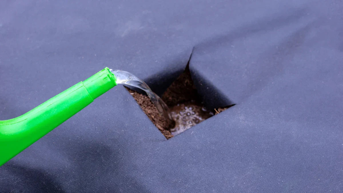 A tiny tear in your pond liner