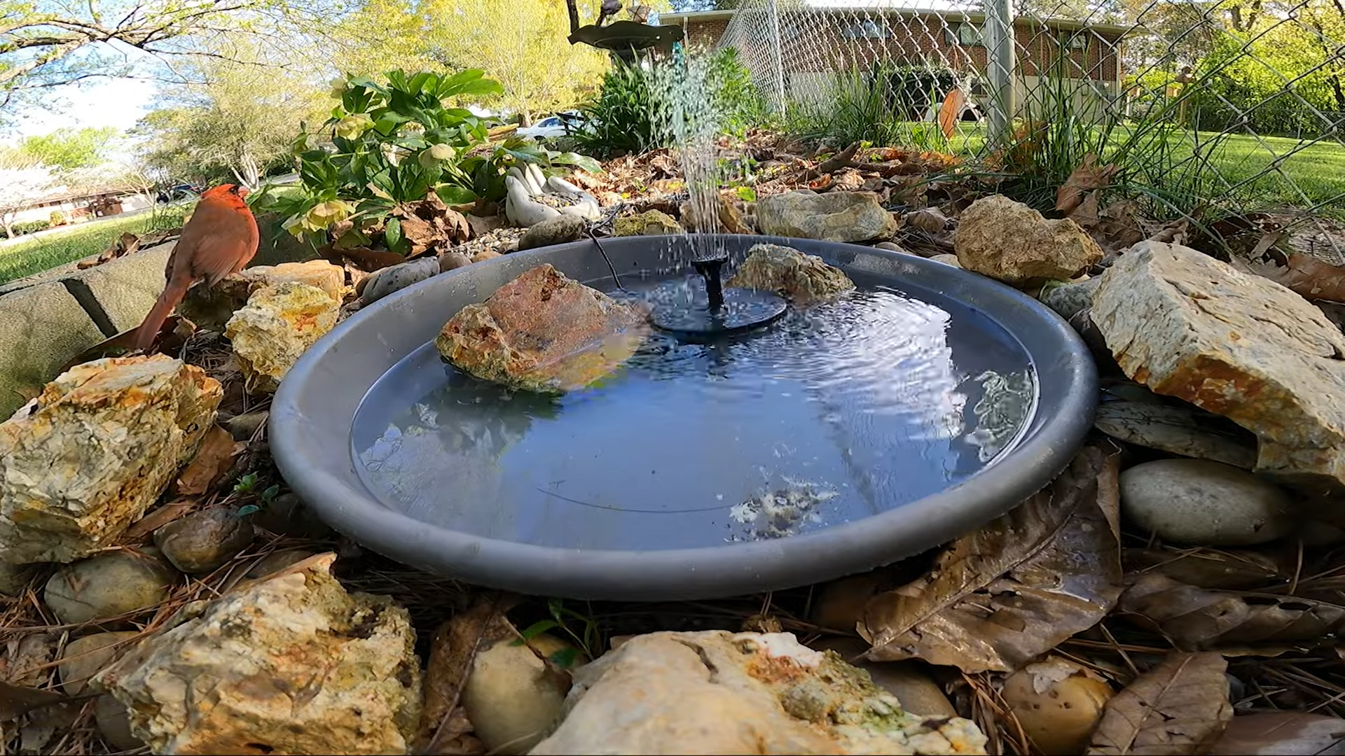 Adding a Solar Fountain to My In-ground Bird Bath