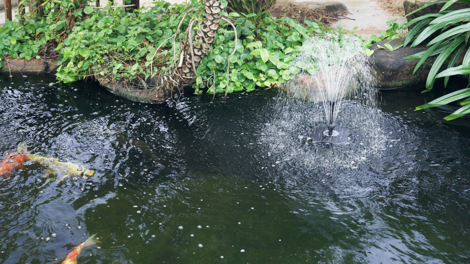 Solar Pond Fountain: Lights Up The Waterscape Of The Courtyard
