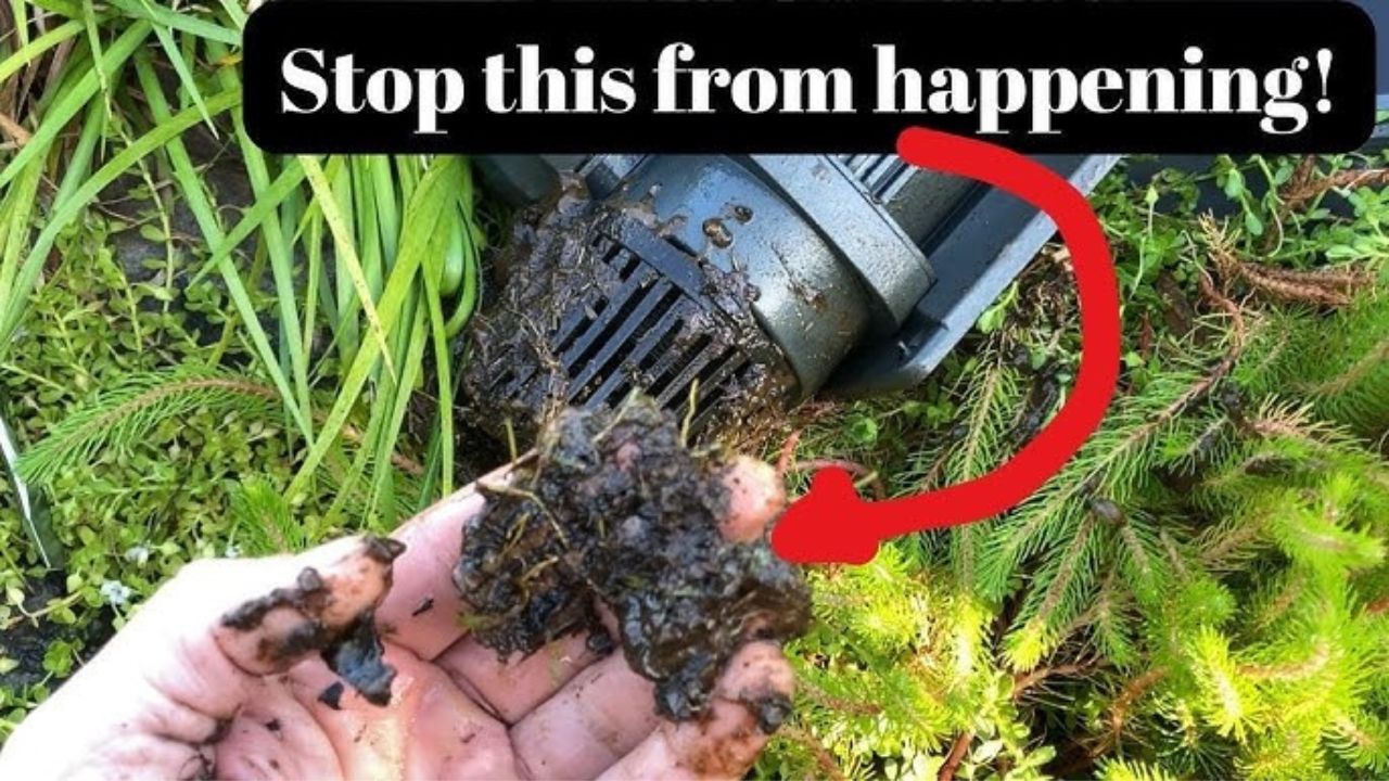 How to Stop Your Pond Pump & Filter from Clogging Up: Easy Fixes for Clean Water