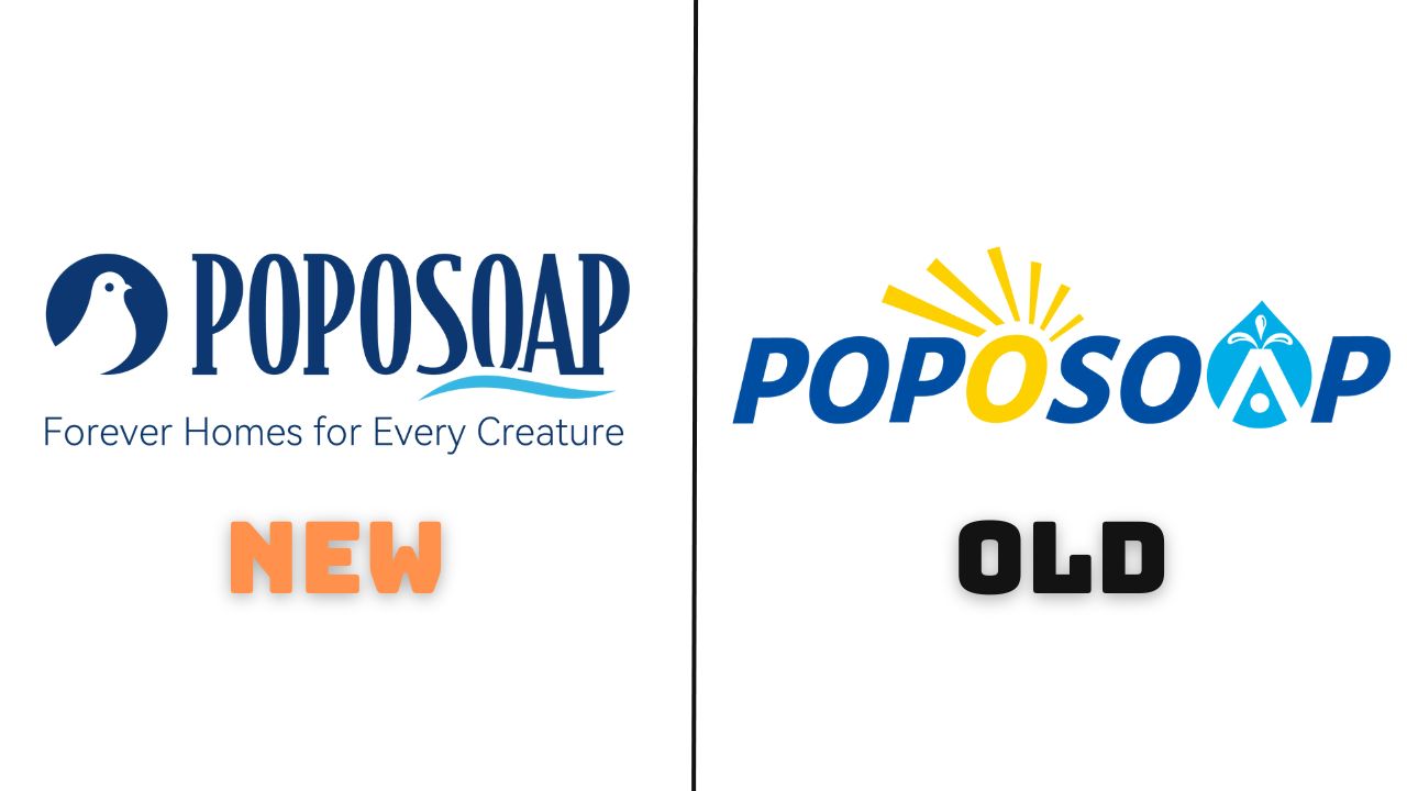 Exciting News: Poposoap Logo Update!