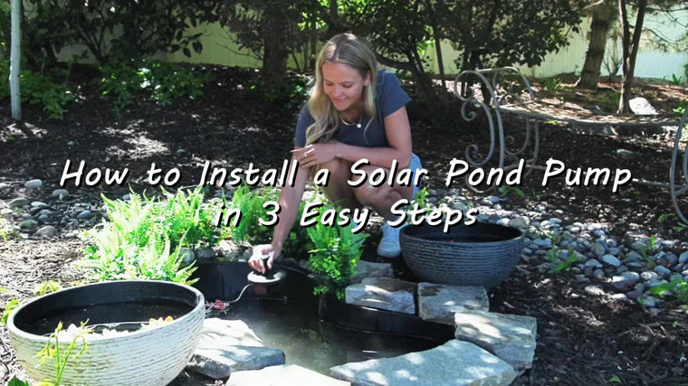 So installieren Sie eine Solar-Teichpumpe in 3 einfachen Schritten - P108D