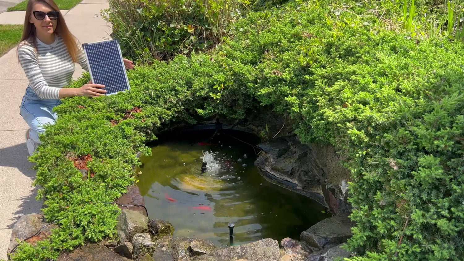 Creating Eco-Friendly Gardens: Combining Solar Garden Water Features with Wildlife