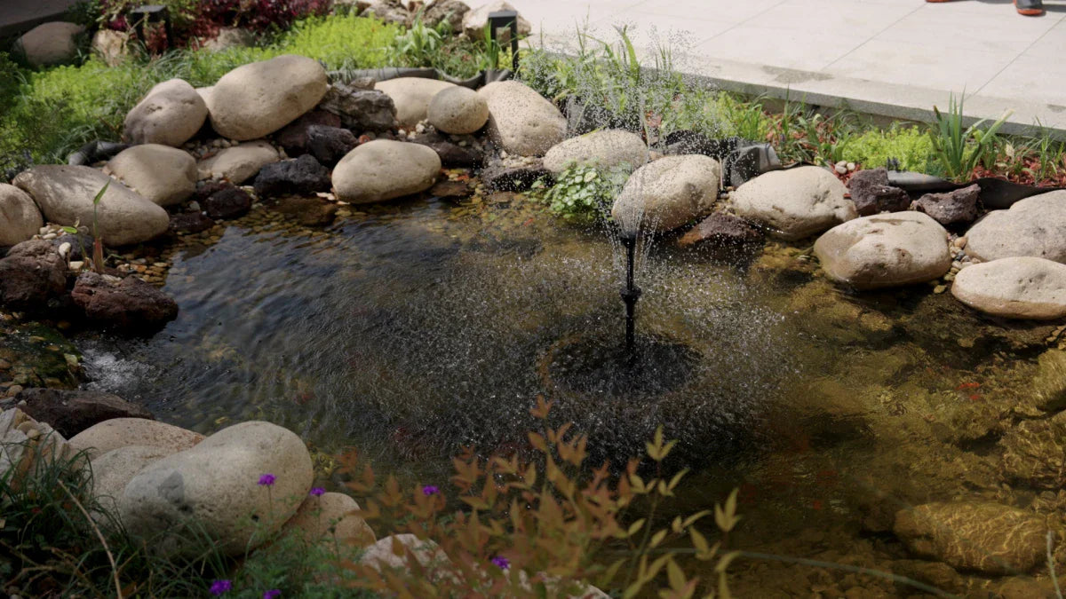 The Science Behind UV Filters in Ponds: Clear-Water Technology You Can See Working