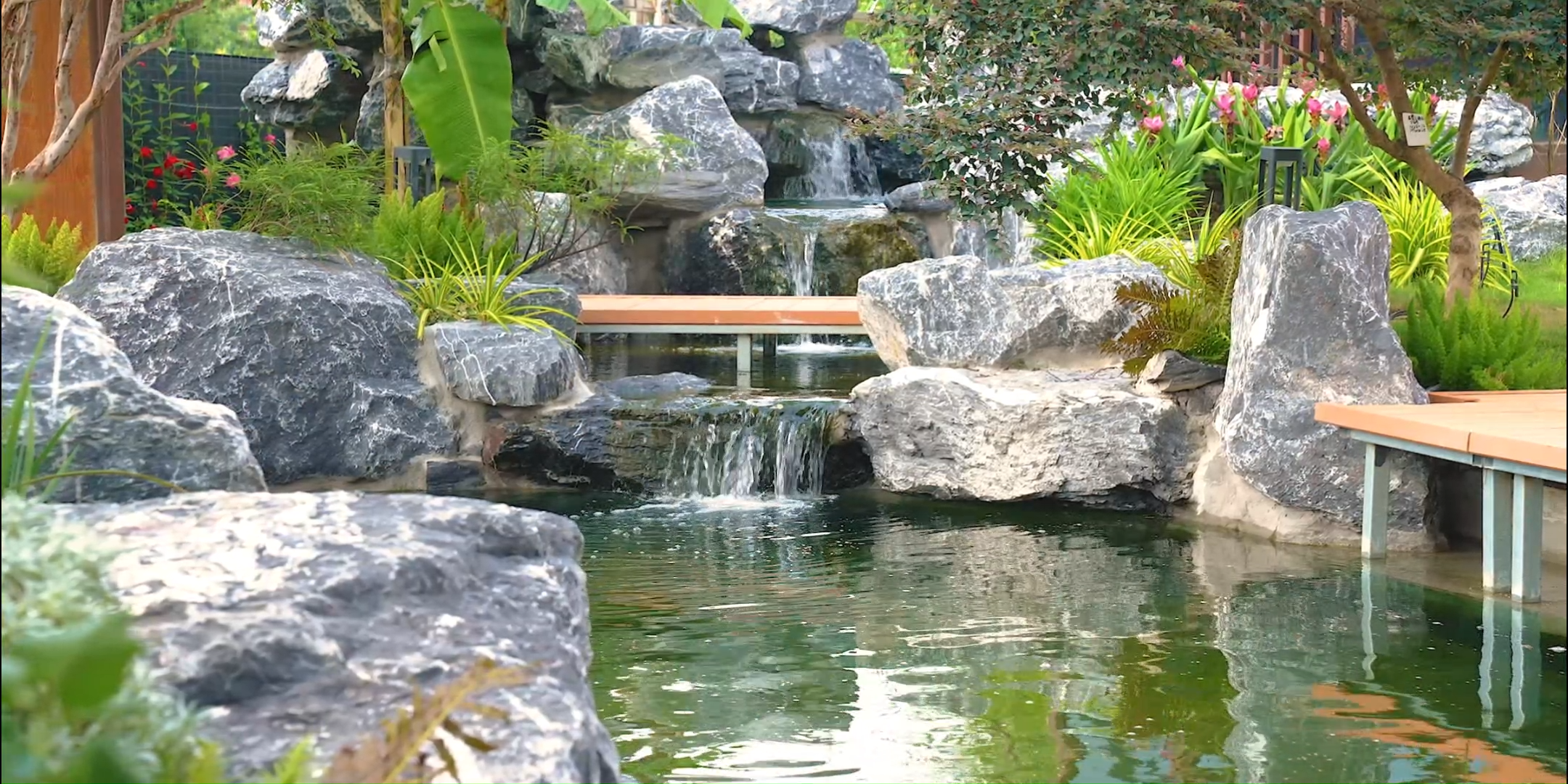 10 Professional Planting Water Plants in a Pond Ideas