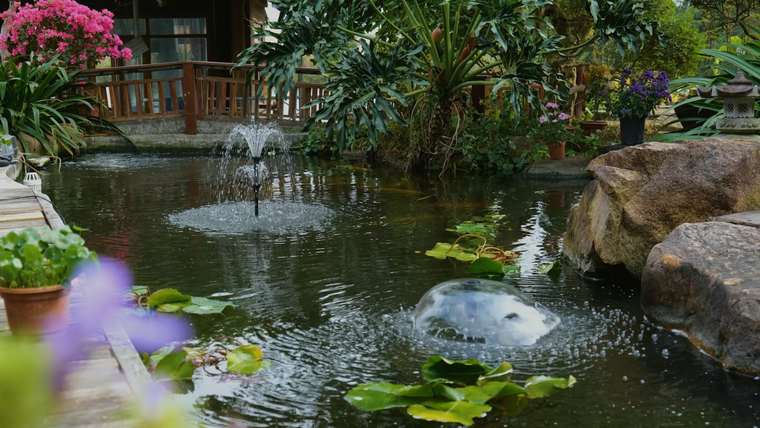 Filtration 101: Halten Sie Ihren Gartenteich sauber mit dem vollständigen Teichfiltrationshandbuch