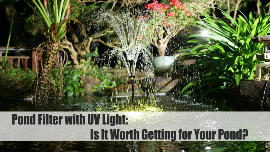 Pond Filter with UV Light