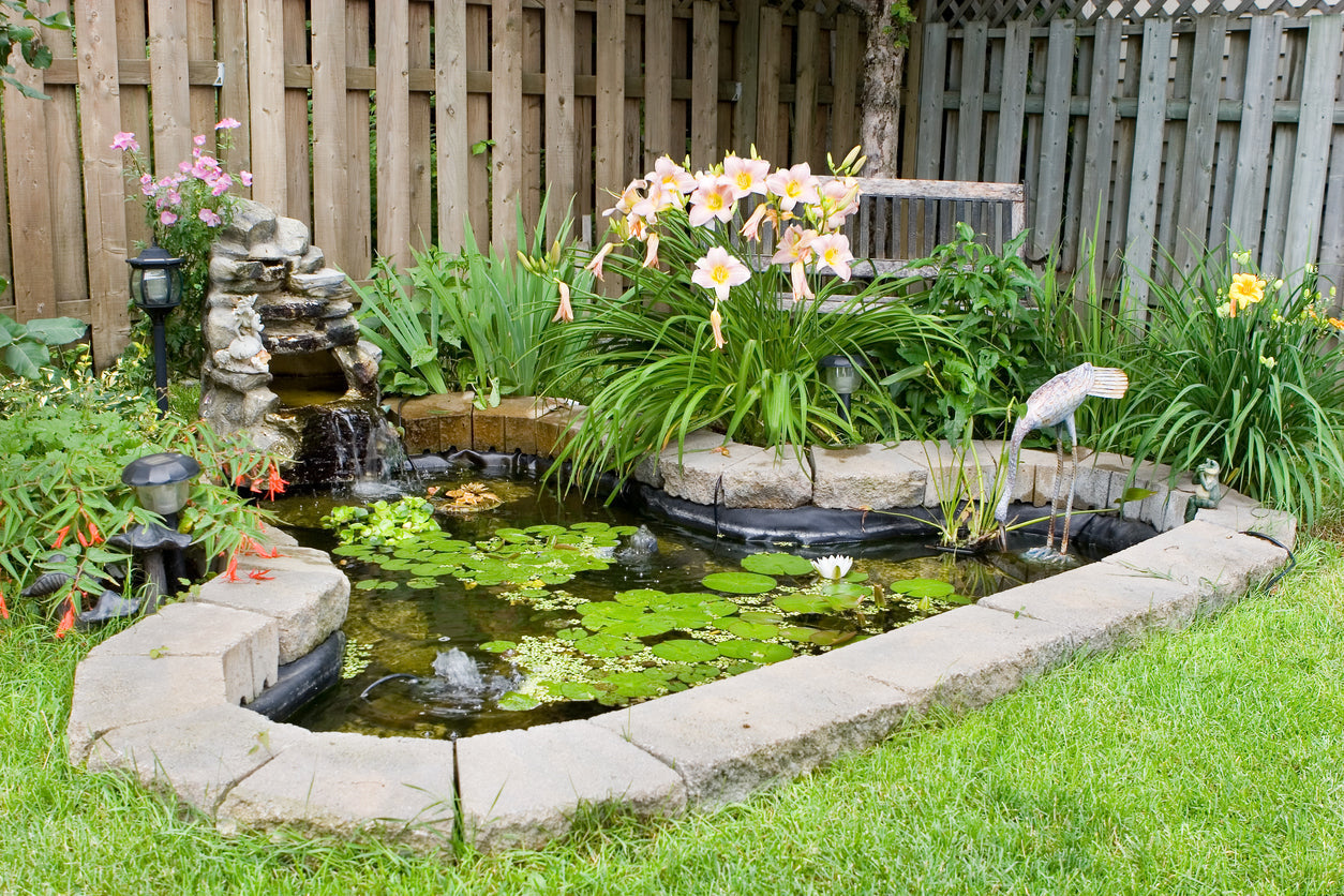 Pond Gardening