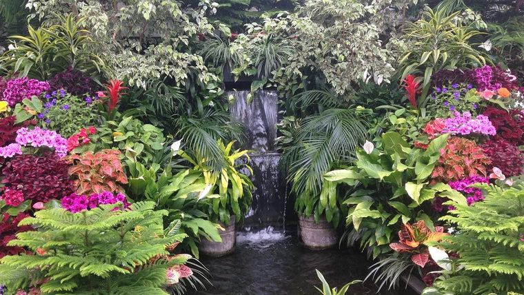 Schritt-für-Schritt-Anleitung zum Bau eines teichlosen Wasserfalls