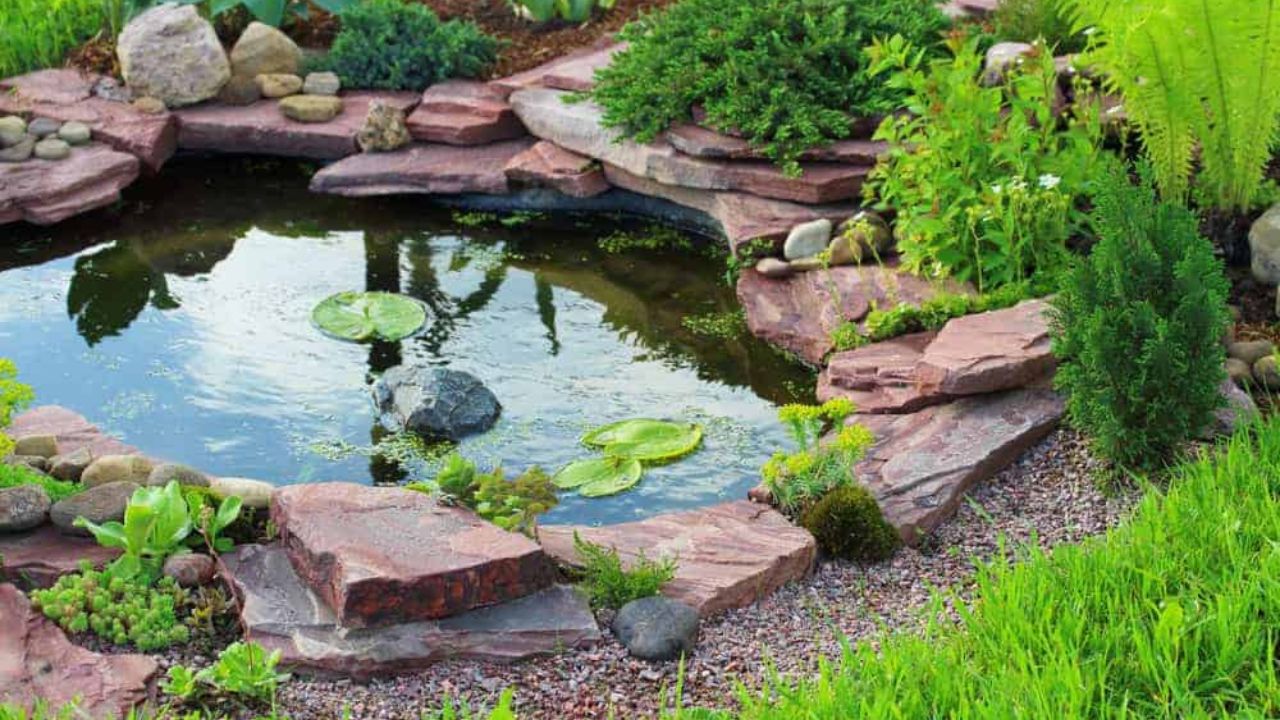Should You Add Rocks or Gravel to Your Pond? Pros, Cons & Smart Tips