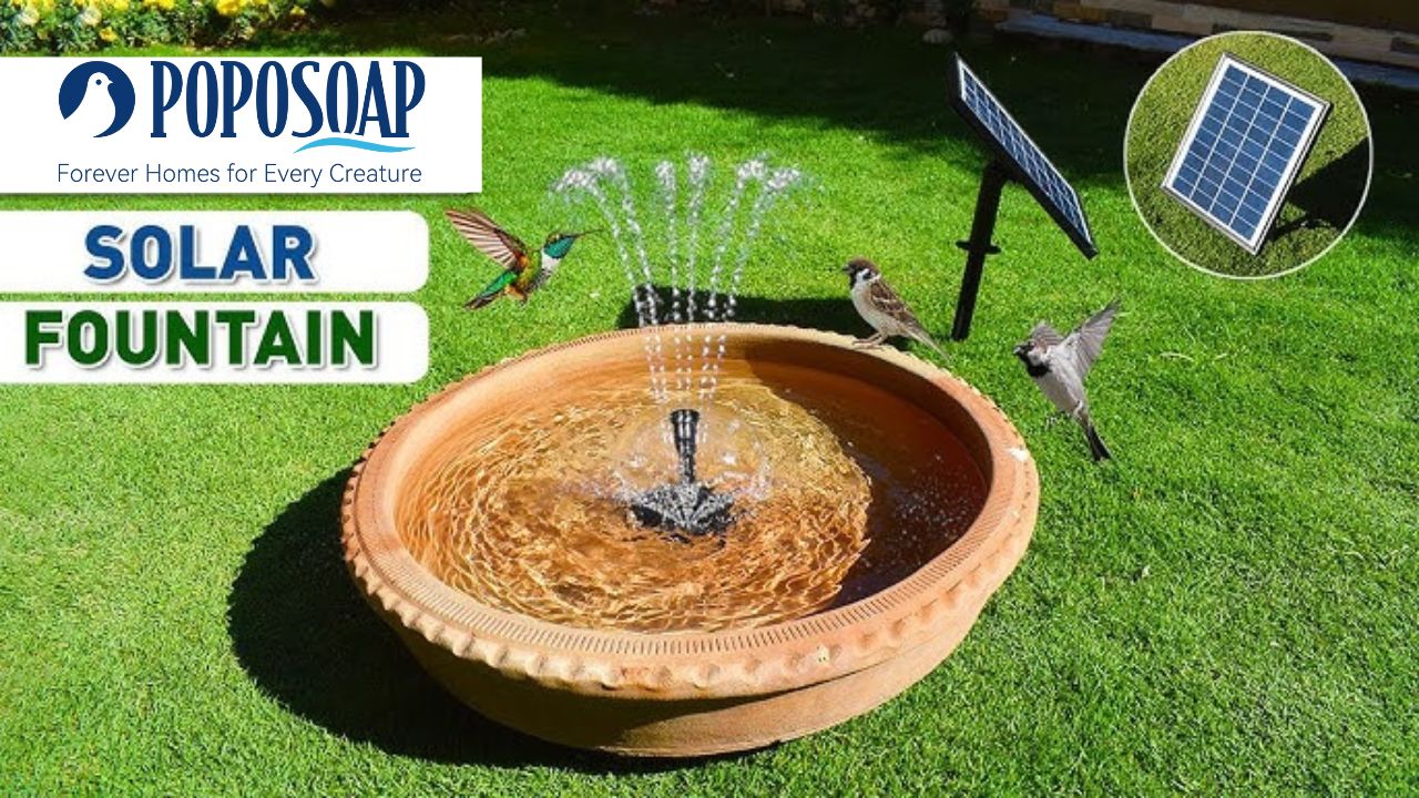 The Latest Garden Water Feature Trend: The Rise of Solar Fountain Birdbaths