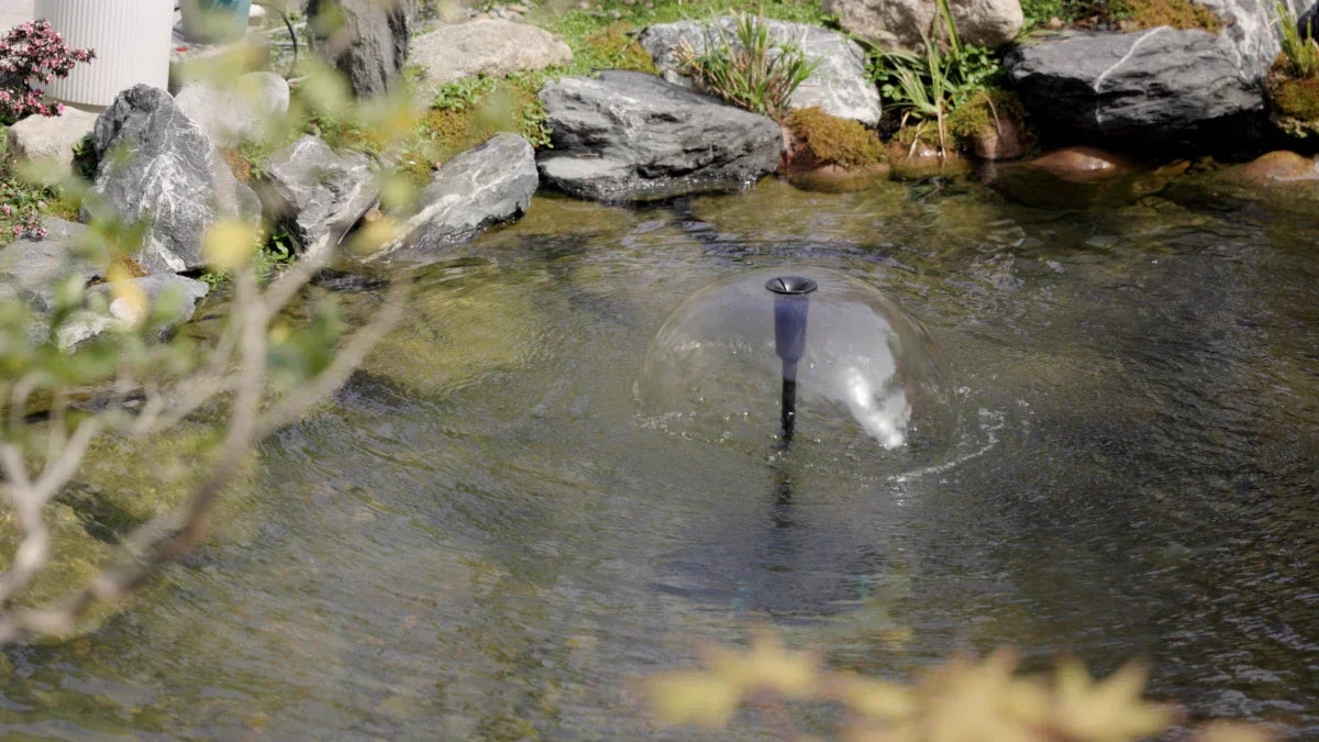 The Ultimate Guide to Installing a Pond Pump and Filter in 30 Minutes