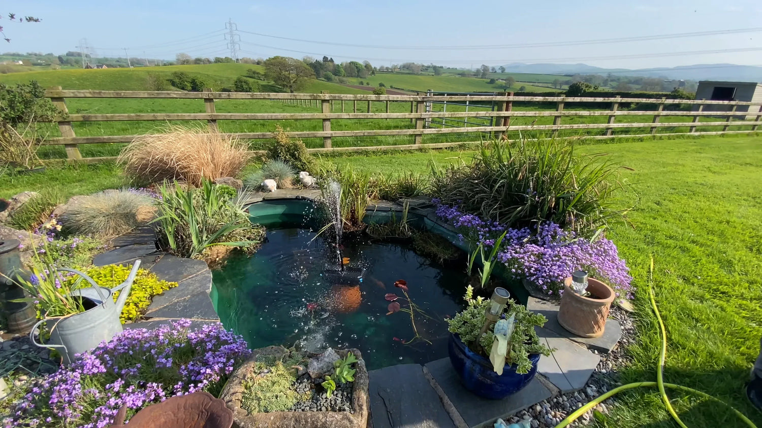 Upgrading a Non-Filtered Goldfish Pond: A Full Record of Installing a Poposoap Solar Pond Filter