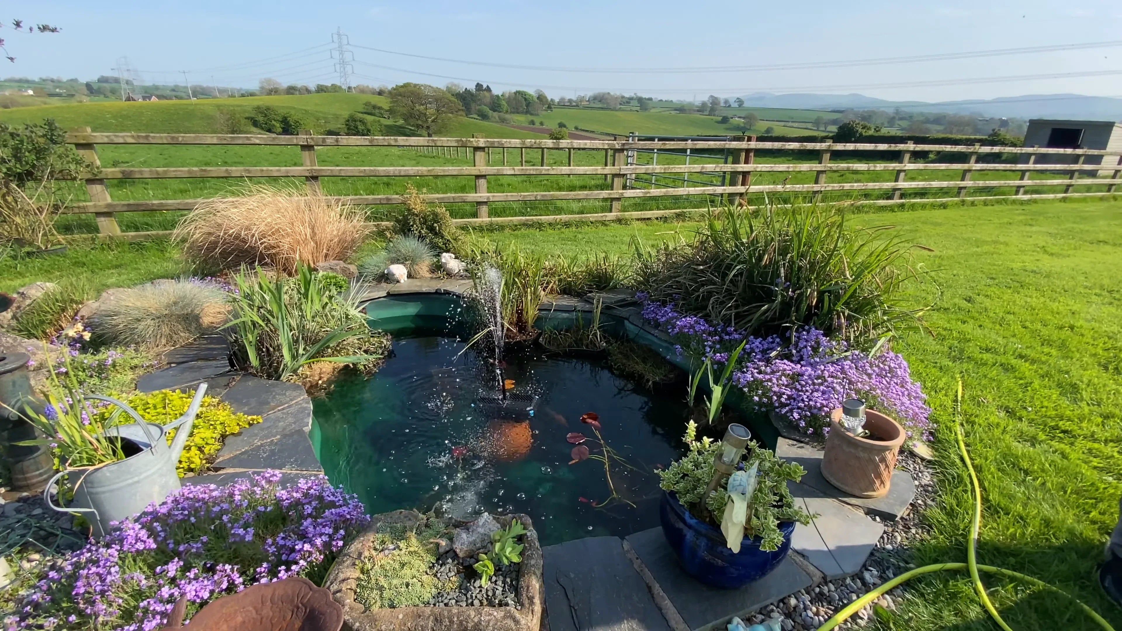 Upgrading a Non-Filtered Goldfish Pond: A Full Record of Installing a Poposoap Solar Pond Filter