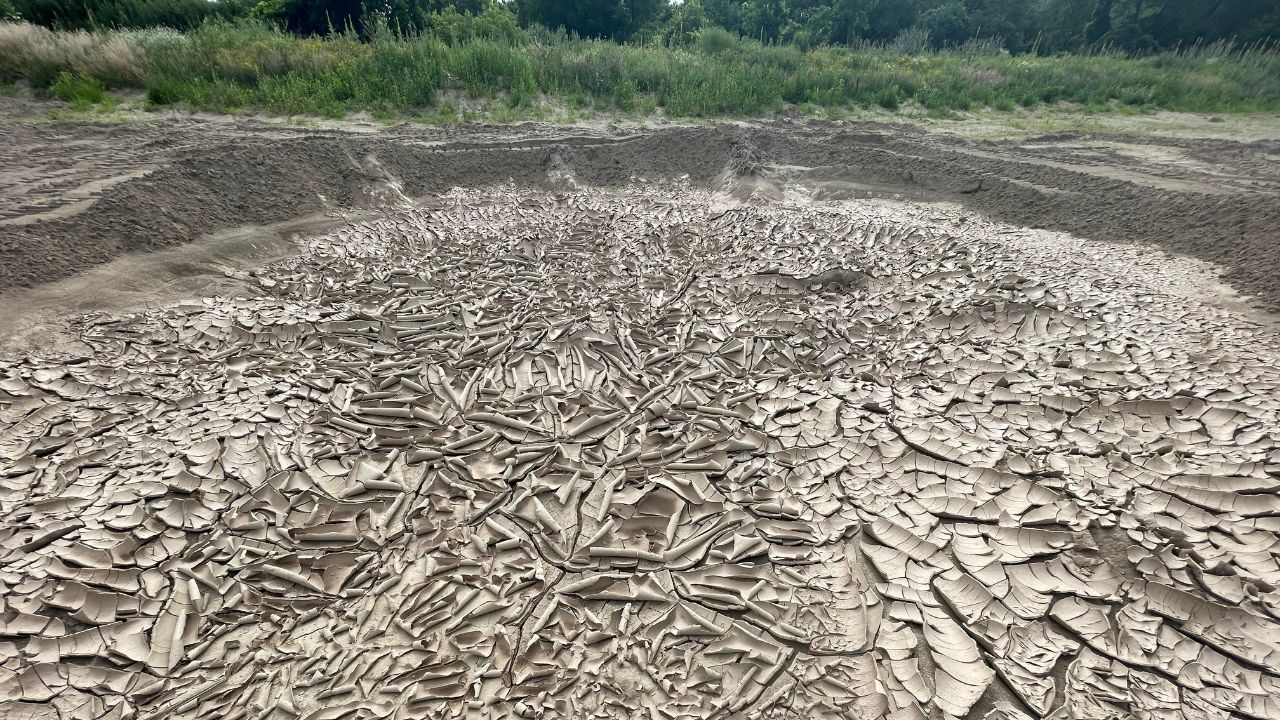 What Do You Call a Dried-Up Pond? Common Terms and Solutions