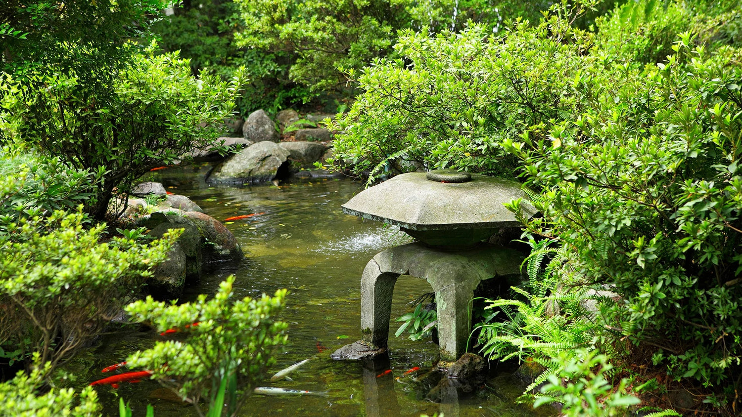 best eco-friendly pond fountains and filters cleaner