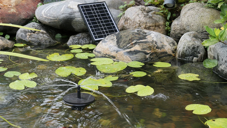 Funktionieren Solar-Teichpumpen wirklich? (Expertenratgeber für Teichbesitzer)